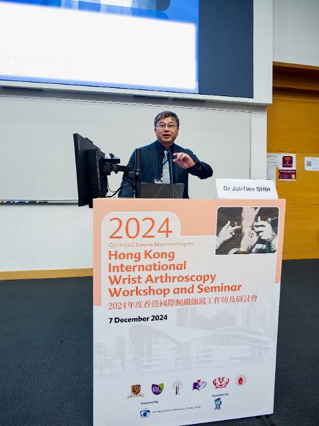 HK Wrist Course 2024- Seminar  - 82 of 257